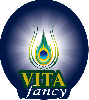 vita-fancy-logo4